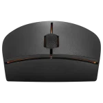 Souris sans fil Lenovo 300 – Noir (GX30K79401)