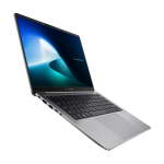 ASUS ExpertBook P5
