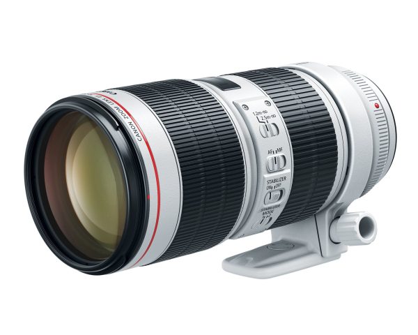 CanonEF70-200mmf – Image 1