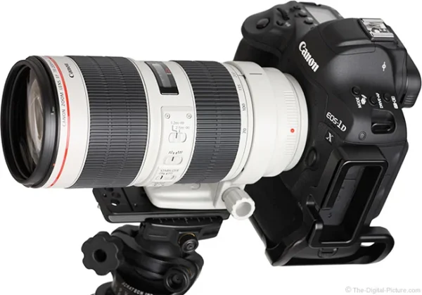 CanonEF70-200mmf – Image 2