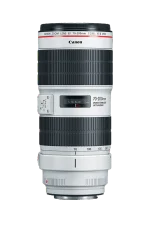 CanonEF70-200mmf – Image 3